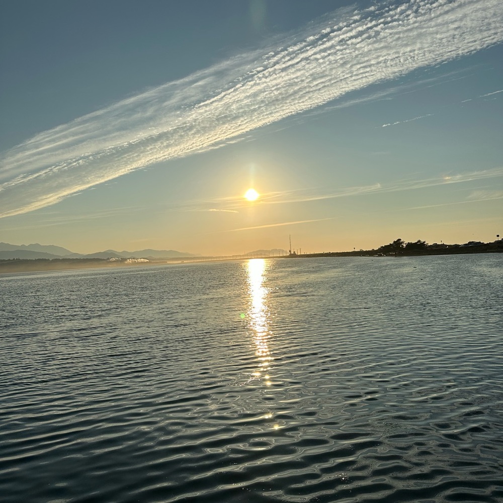 Meet your Posher, Phyllis